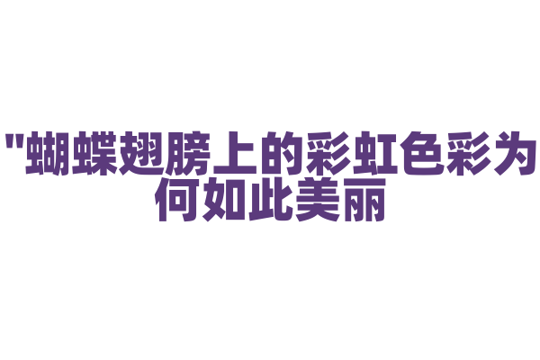 "蝴蝶翅膀上的彩虹色彩为何如此美丽？"